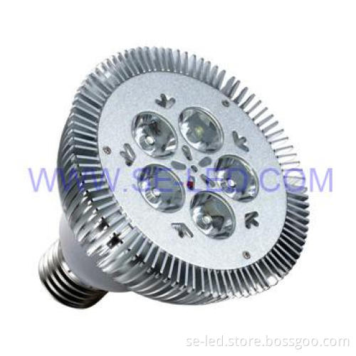 5*2W Epistar E27 with CE RoHS FCC LED PAR Light